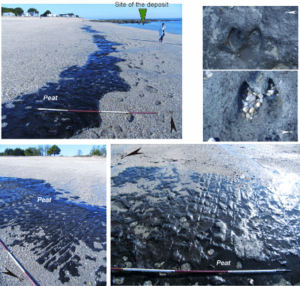 The Peat Layer